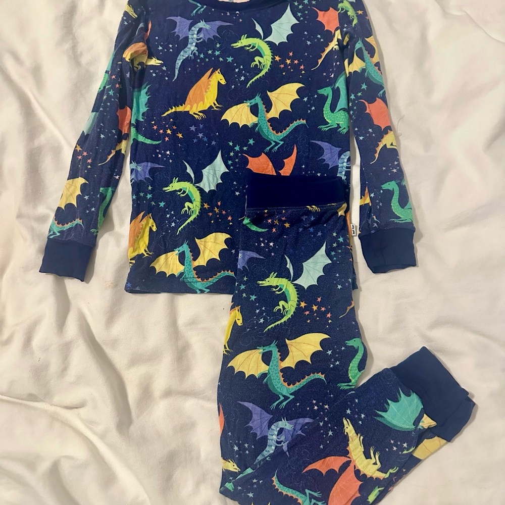 Little sleepies 2 piece Dragon Pajamas